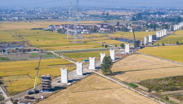 知识产权改革促进长三角区域科创合作|详解浦东综合改革试点方案②