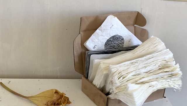 【专访】夏宇：我离硬壳精装铜版纸烫金封面的典藏版装帧还很远