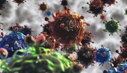 地方新聞精選｜浙江發(fā)現(xiàn)一例H3N2與H10N5混合感染病例 山西晉中一公職人員索賄被免職