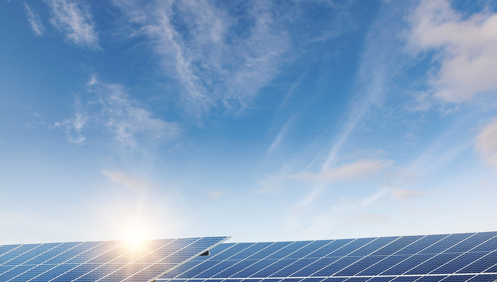 光伏,新能源,对话,访谈,隆基绿能