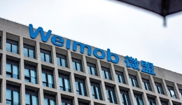 微盟们断臂求生，视频号“良药苦口”？