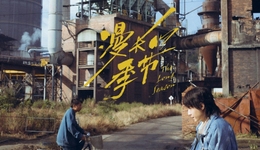 1月《繁花》的商务热，剧集市场的昙花一现？