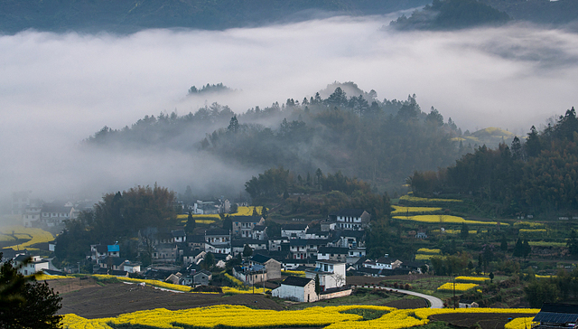 中央农办：学习运用“千万工程”经验不能照猫画虎，不能脱离实际搞“一刀切”