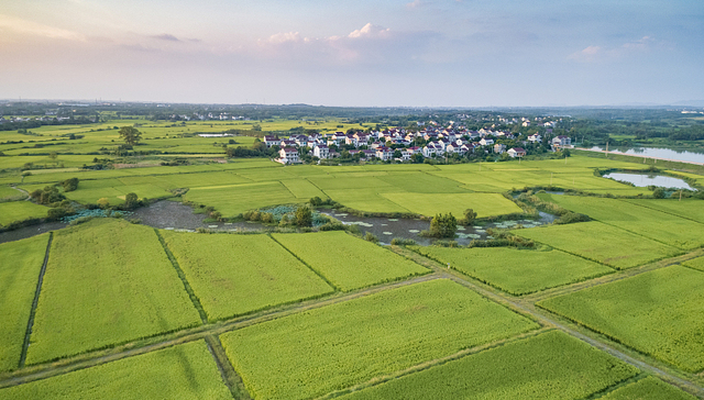 中央一号文件传递了哪些产业发展信号？