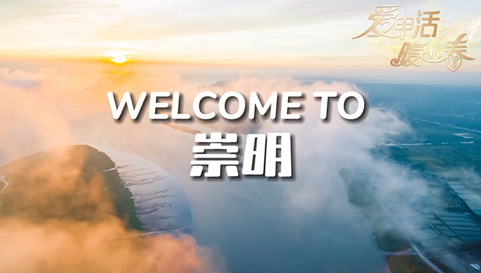 爱申,寿安寺,书画,崇明,沉浸式,点位,龙记,城桥镇,DIY,视频