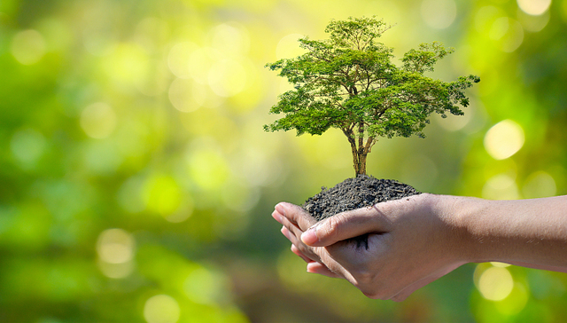 司法部确定141家不预先收费的环境损害司法鉴定机构