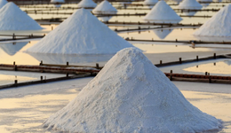 机构集体看空，曾经红火的碳酸锂这么不受待见了？