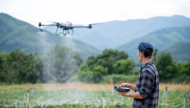 农业领域创业者：吸引年轻人回村，成为受人尊敬的新农人｜在春天许一个愿望⑨
