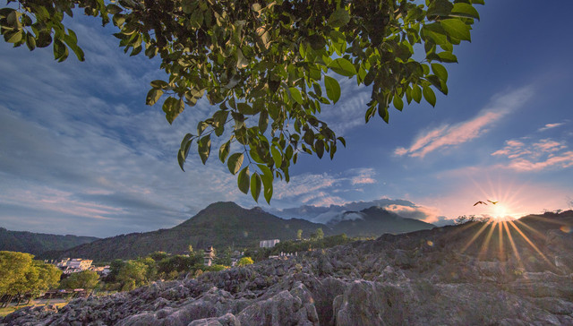 四川一县城“花式”鼓励购房：预发工资交首付、月供垫付、首付缓付
