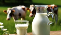 靠砸錢難救越秀輝山