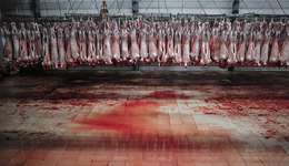 有意义和成就感的工作，在这个世界相当罕见 | 专访