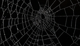 “秦朗”上热搜背后，警惕互联网“信息茧房”