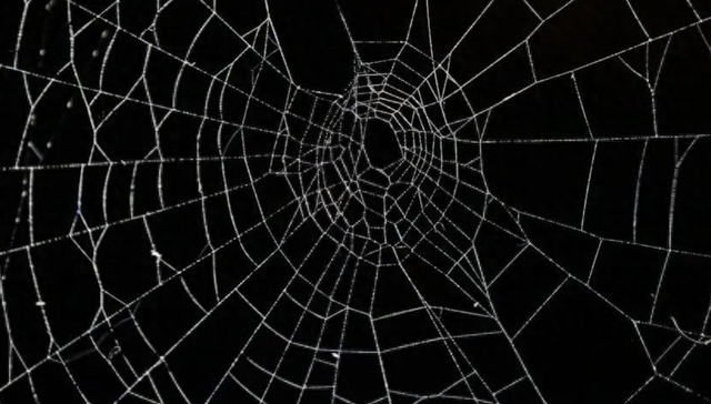 互联网,寒假作业,假新闻,微博,热搜