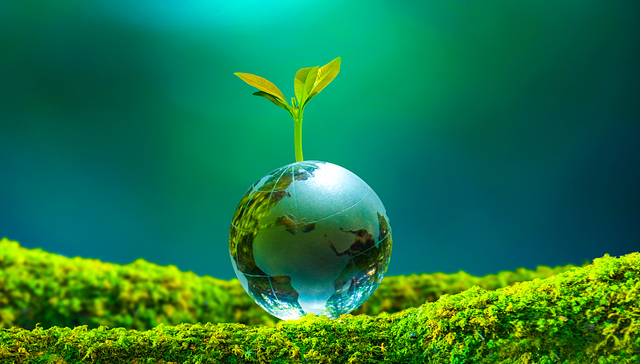 生态环境部：正建设全国统一碳市场，不再新建地方试点