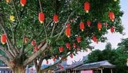 “史上最火”春节旅游，“斗智斗勇”竞赛升级