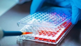 消失的Biotech：破产、关闭、退市