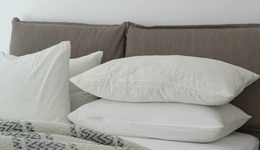 新品牌四年GMV超5亿，家居赛道掘金B站小红书