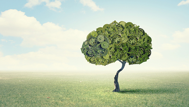 全国首个推动制造业绿色化发展指导意见发布