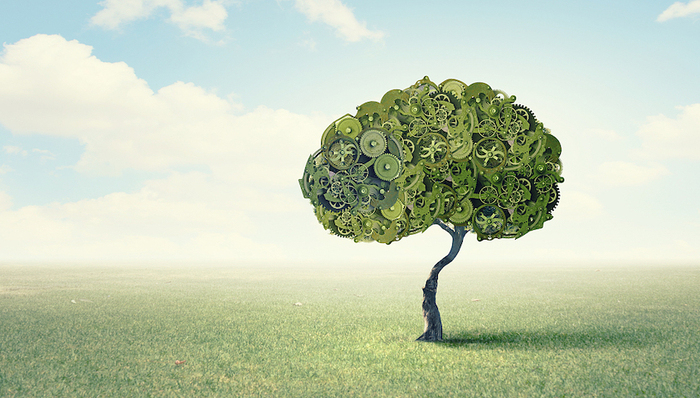 制造业风云,新能源