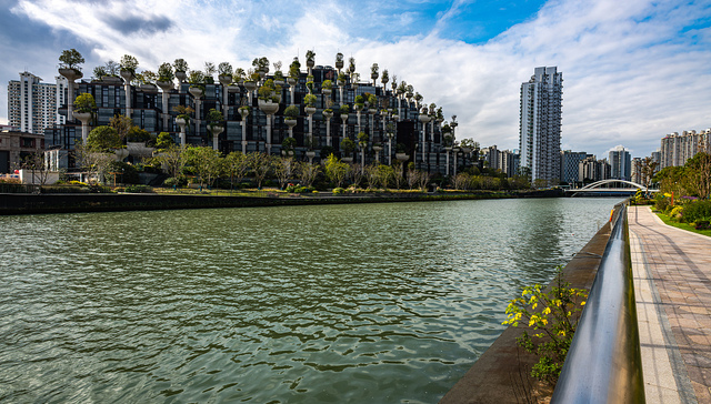上海,普陀,,营商环境