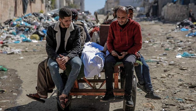 加沙,美国,以色列