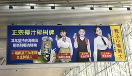 一年狂賺50億，椰樹的“猛男打法”奏效了？