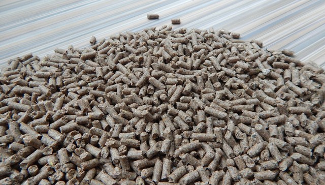 头部饲料企业出海：境外竞争相对小，毛利率较高