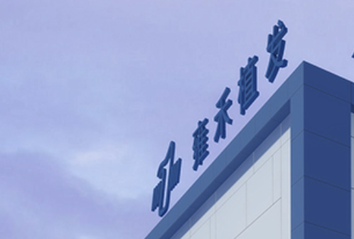 雍禾植发,财报,投资,港股,股价