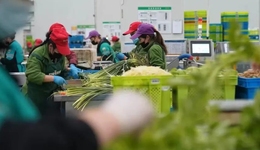 叮咚买菜以“撤”为进