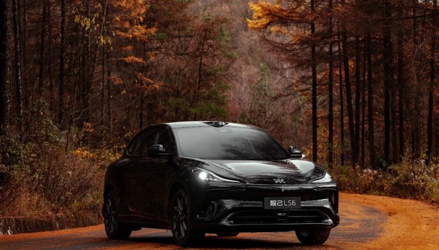 超80亿“抢投”智己，新能源资本退潮期的抢筹逻辑