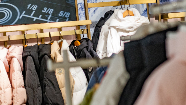 羽绒服,消费,波司登,加拿大鹅,品牌