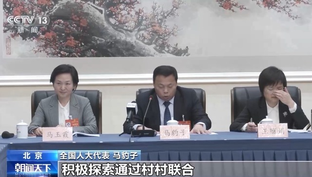 false,null,true,乡村治理,全面,png,政府工作报告,全国人大代表,短板,定点屠宰场