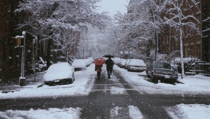 2月各种自然灾害共致652万人次受灾，低温冷冻和雪灾为近10年最重