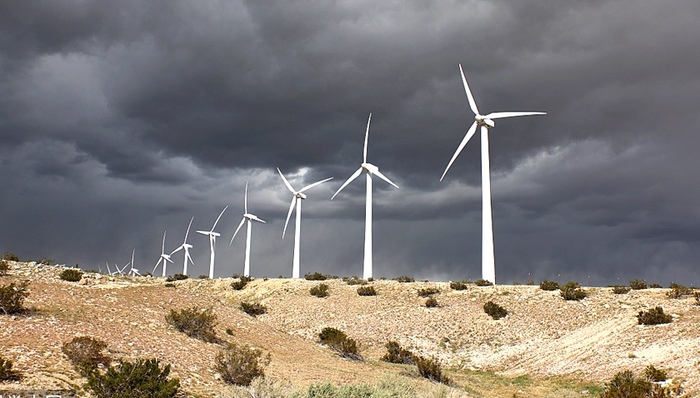 ESG,美国大选,文化战