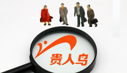 贵人鸟，真的飞走了