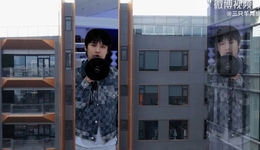 疯狂小杨哥，重走辛巴路