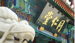 股价被市场热炒，同仁堂现金储备超百亿