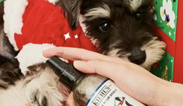 美妝品牌怎么做“小狗”的生意？