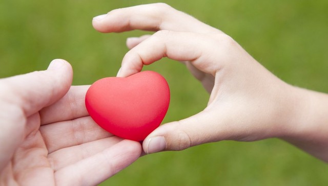 【观察】促进与监管并行，修改后的慈善法有哪些亮点？