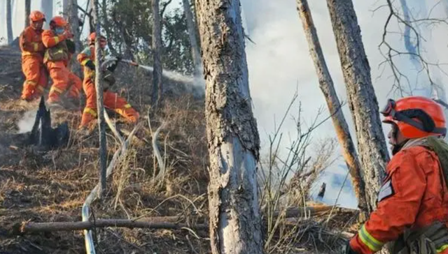 地方新闻精选 | 邯郸13岁被同学杀害男孩已尸检 四川雅江森林火灾已转移3396人