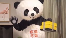 一家年入8亿的网红品牌倒闭，何以至此？