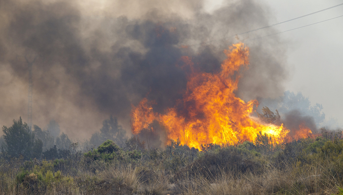地方新闻精选 | 甘孜雅江累计扑打火线22公里 青海省应急管理厅原党委书记被双开