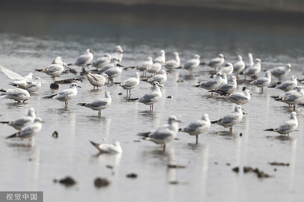 区域经济观察|生态环境分区管控顶层设计出炉，释放了哪些信号？