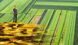 中和农信靠给农民高息贷款赴港IPO？美资TPG为最大股东