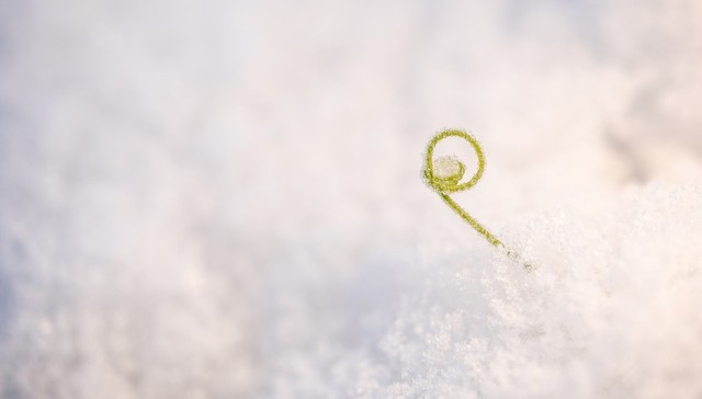 地方新闻精选 | 黑龙江局地雨雪上线 
山东一“00后”网红被邻居重伤正在抢救
