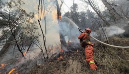 地方新聞精選 | 四川雅江森林火災系施工動火作業(yè)引發(fā) 深圳通報安居房飄窗用泡沫填充