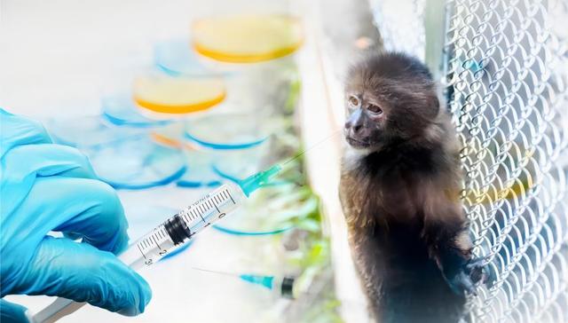 IPO雷达｜益诺思2022年前无专职研发人员，供应商突击入股后采购价不降反增