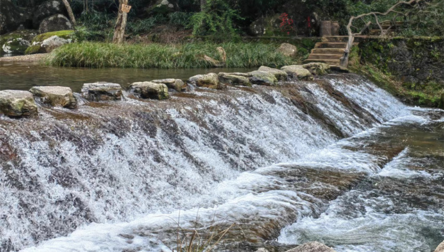 整治小水电，龙栖山国家级自然保护区如何“还水于鱼”？