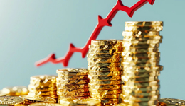 秉揚科技去年營收凈利雙增，超七成分紅入了樊氏家族腰包