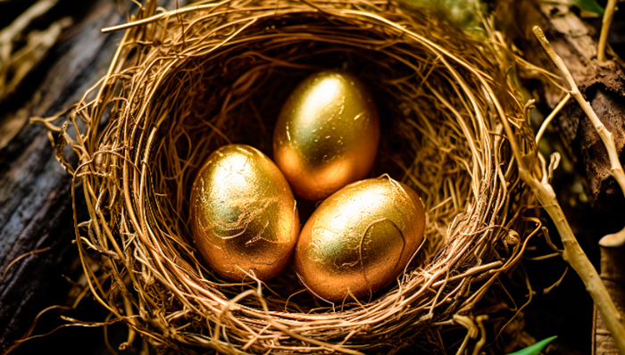 养老基金,中国市场,投资,佛罗里达州,